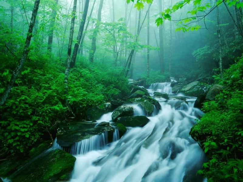 夏季的雨